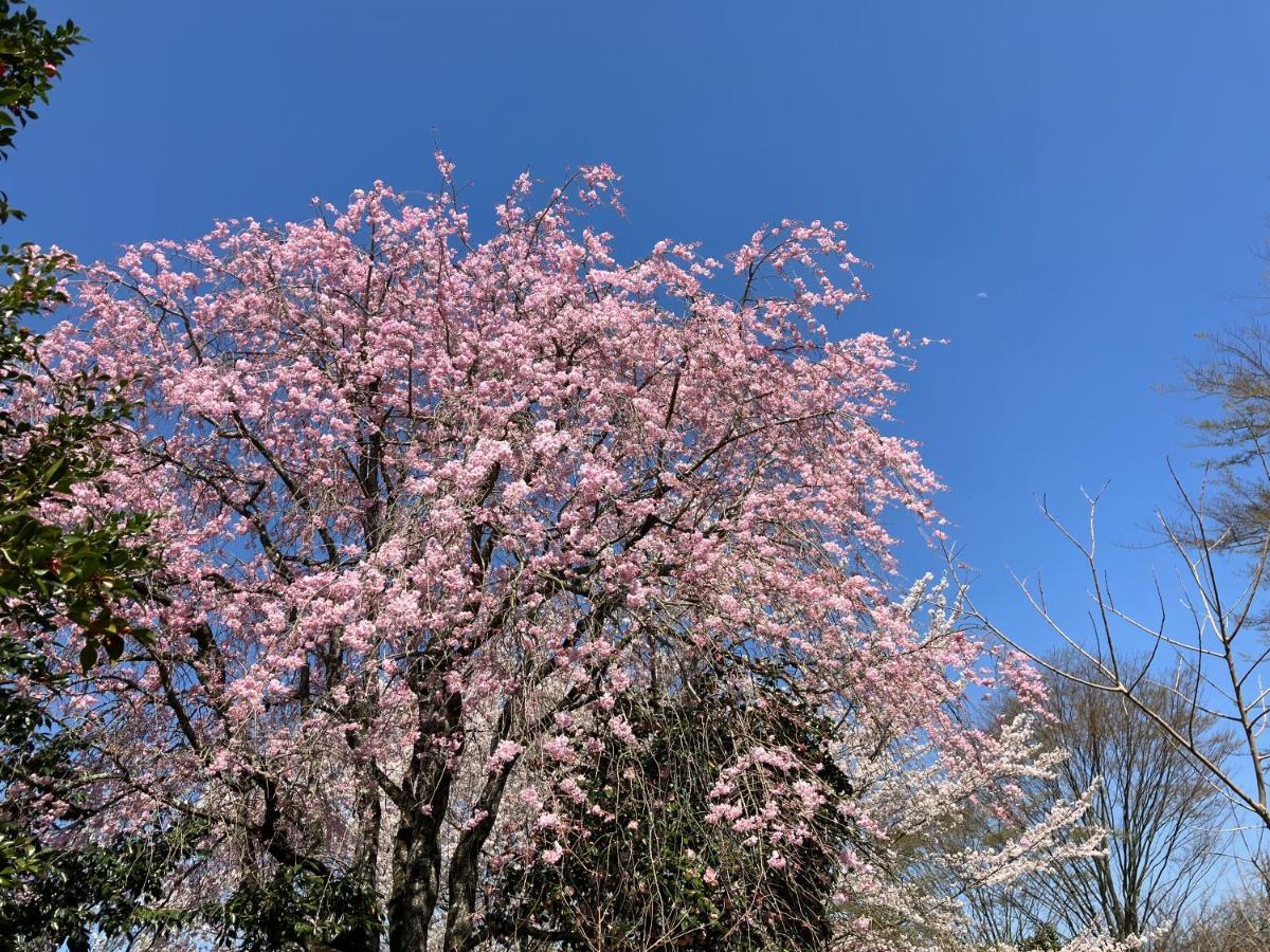 Minamiaso お宿でん吉 מראה חיצוני תמונה