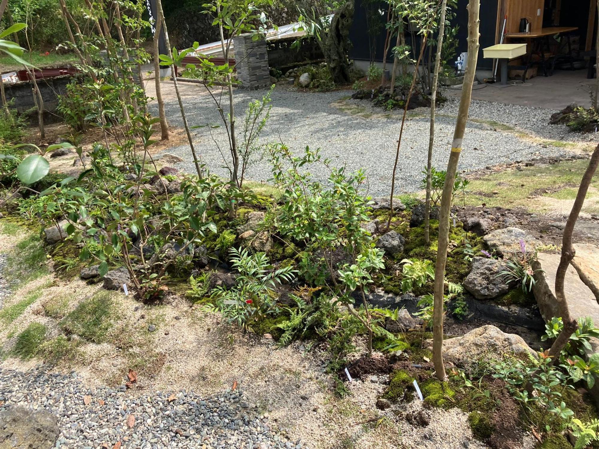 Minamiaso お宿でん吉 מראה חיצוני תמונה